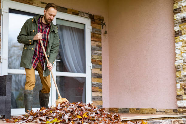 Best Basement Cleanout Services  in Berea, SC